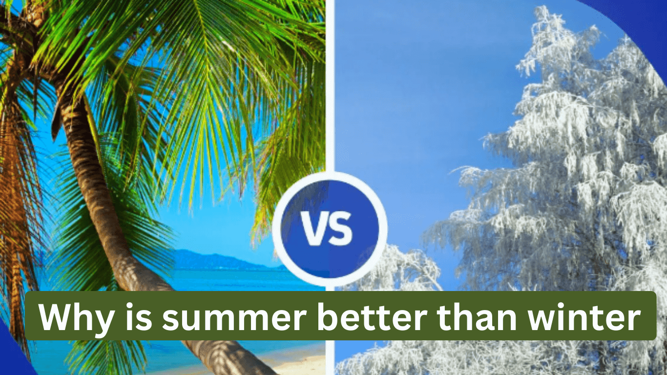 Why is summer better than winter