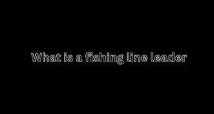 What is a fishing line leader